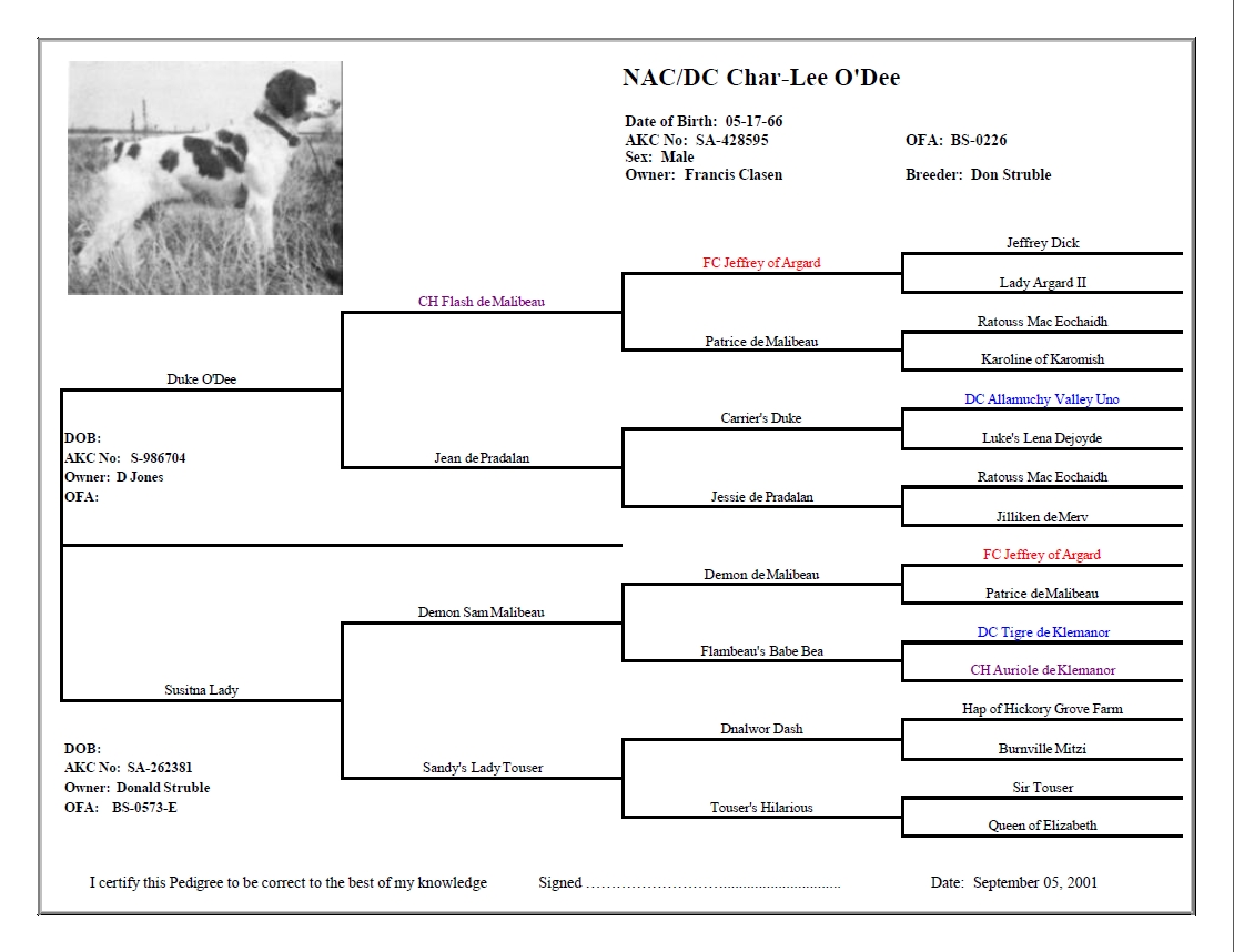 Brittany Field Trial Hall of Fame - Dog