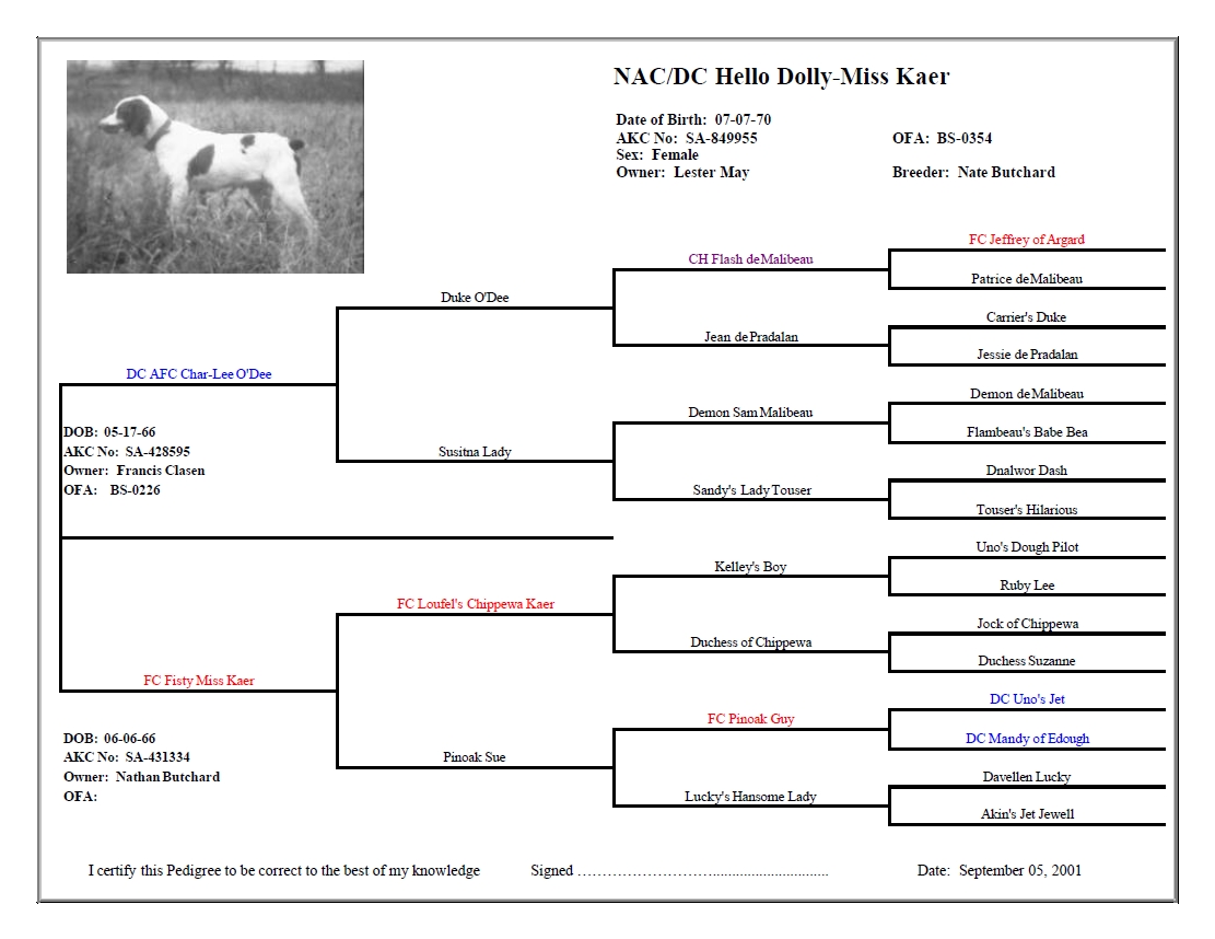 Brittany Field Trial Hall of Fame - Dog